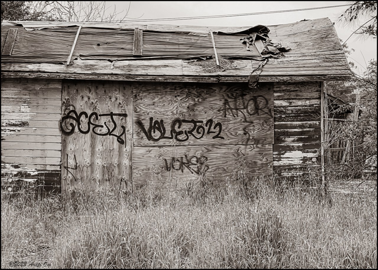 Monochrome Mondays: Untended on 7th&nbsp;Ave.