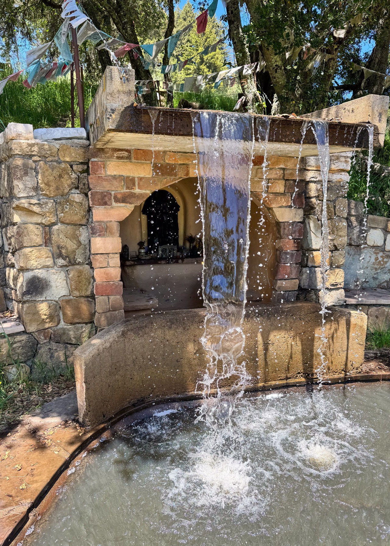 Looking in … looking&nbsp;out