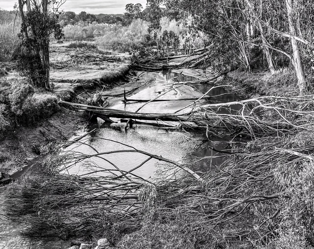 Monochrome Mondays: Arana&nbsp;Gulch