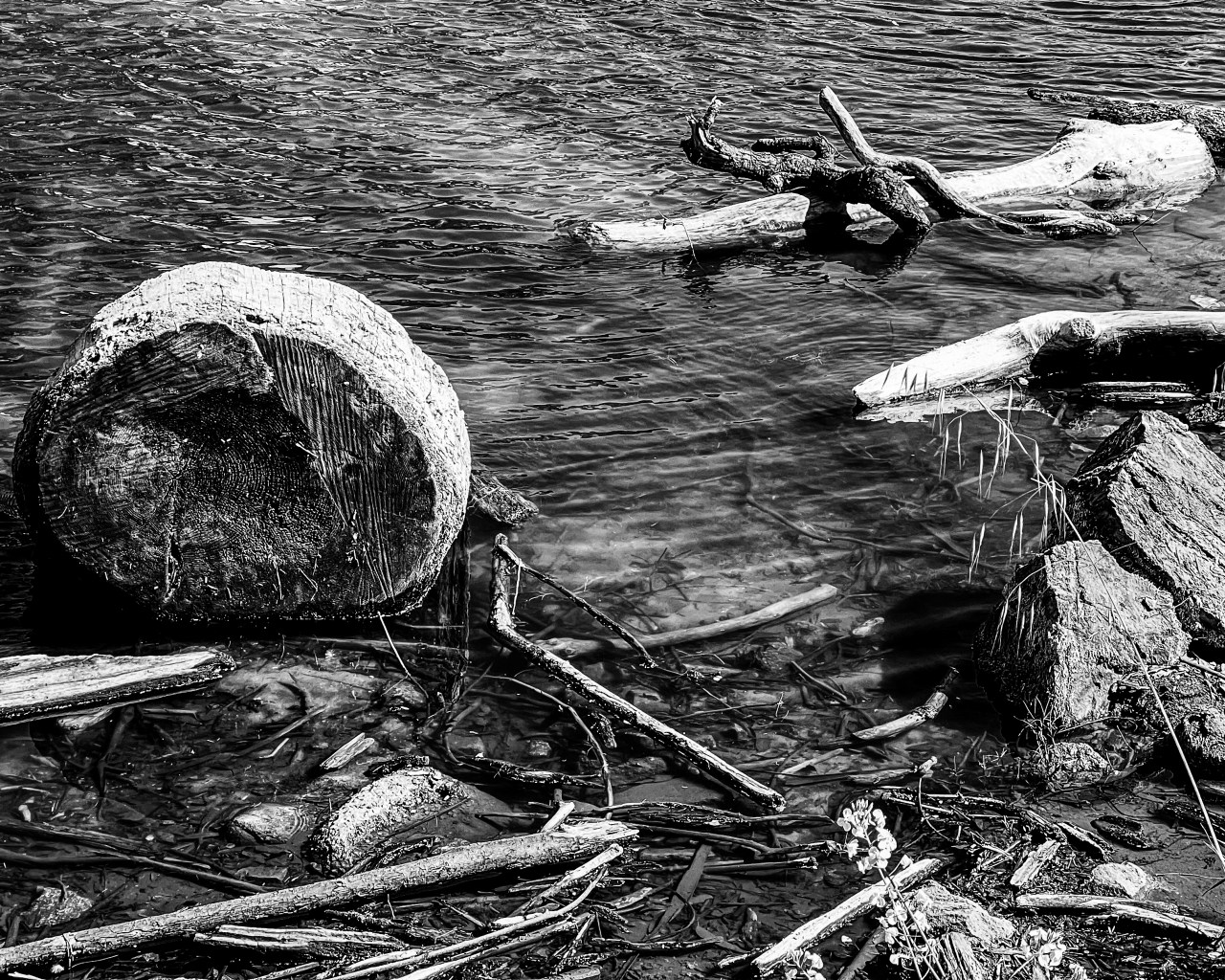 Monochrome Mondays: Driftwood – Moran&nbsp;Lake