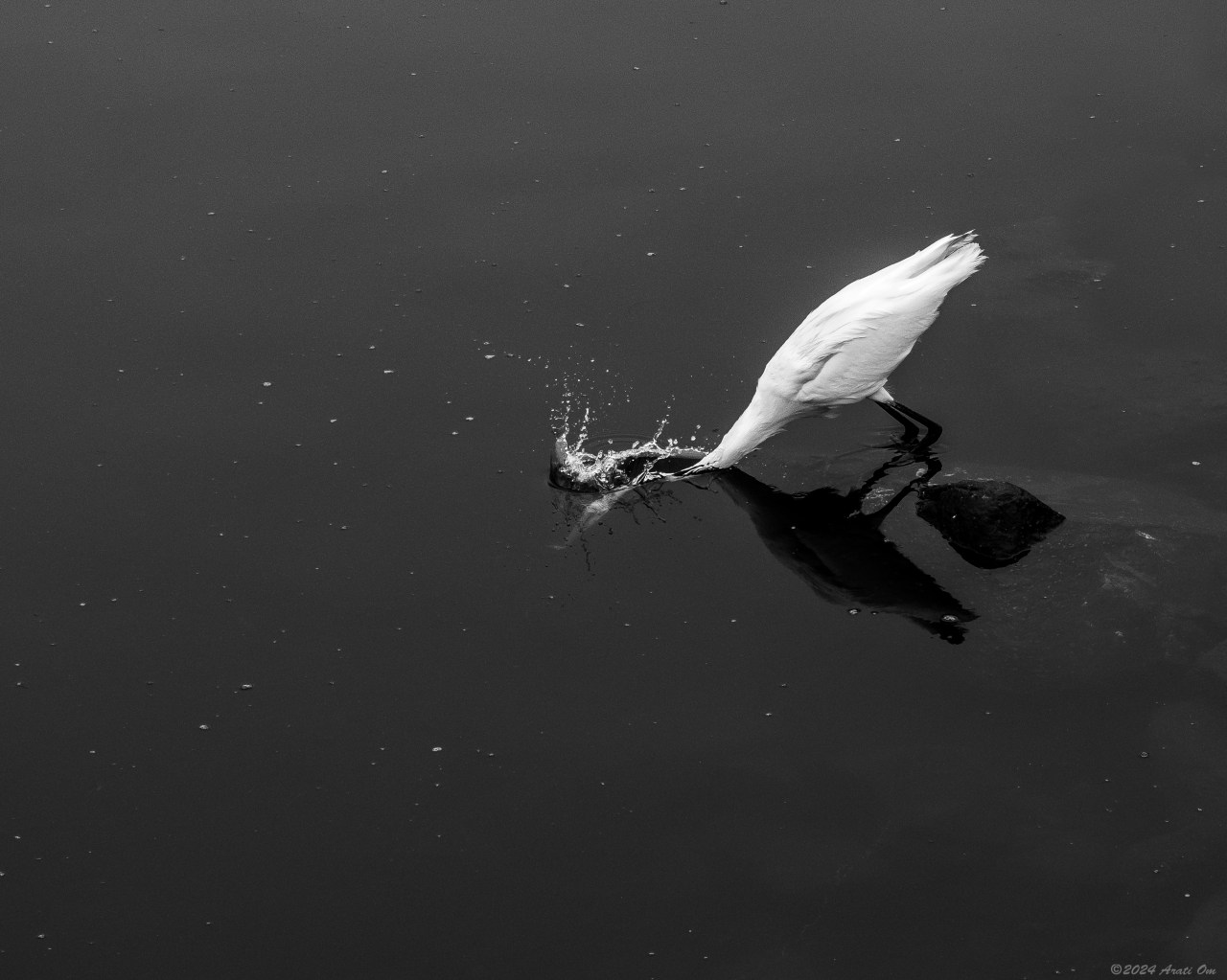 Monochrome Mondays: Fishing