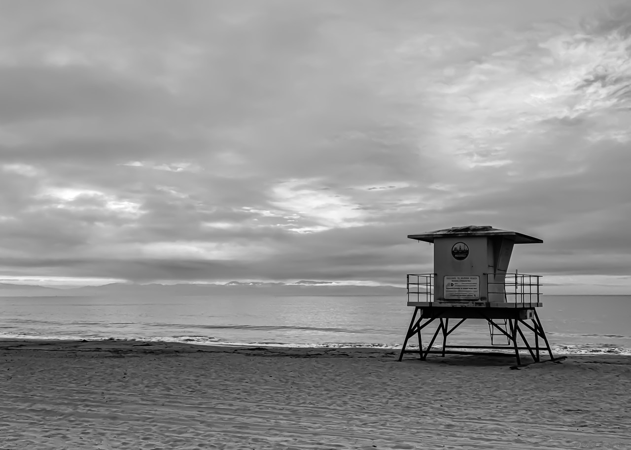 Monochrome Mondays: Watchful&nbsp;presence