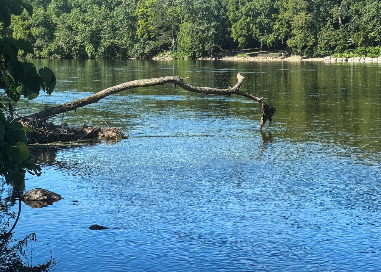 Silent Sunday: Morning on the Fox&nbsp;River